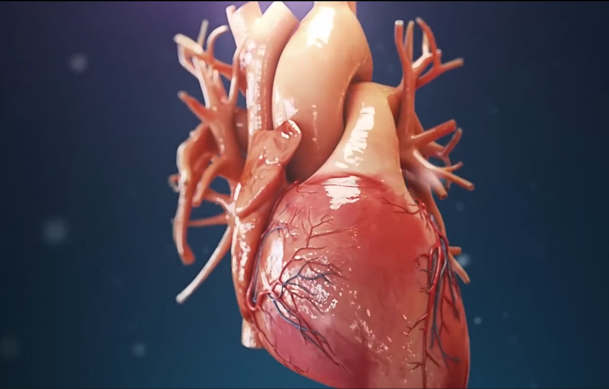 Screenshot 2025-03-28 165934